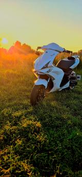 Peugeot Jetforce Ice Blade Bastler Roller  - PEUGEOT JETFORCE