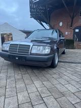 Mercedes-Benz 230TE mit H-Zulassung - Mercedes-Benz 230: Kombi, Te