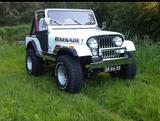 Jeep CJ5, AMC 390, 6.4 liters, einzigartige Jeep-Show - Jeep: Amc