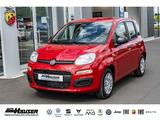 Fiat Panda MY25 Hybrid 1.0 GSE SOFORT CITY-PAKET TEMP - Fiat Panda New cars