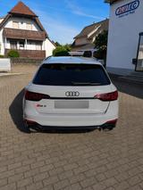 Audi RS4 Avant 2.9 TFSI quattro | Nardograu - gebrauchte Audi RS4 aus dem Jahr 2020