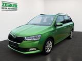 Skoda Fabia Combi 1.0 TSI Style ALU*KA*PDC*RFK*SHZ*WKR - Skoda Fabia: Grün