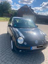 Volkswagen VVW Lupo 1.0 GT  letzter Jahrgang, top gepflegt - Volkswagen Lupo: 1.0