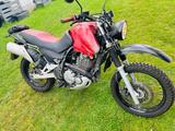 Suzuki Scrambler Freewind 650 Video Link beim Text !  - SUZUKI FREEWIND
