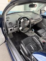 Volkswagen New Beetle 1.8T Cabriolet Standard - Volkswagen New Beetle: Leder