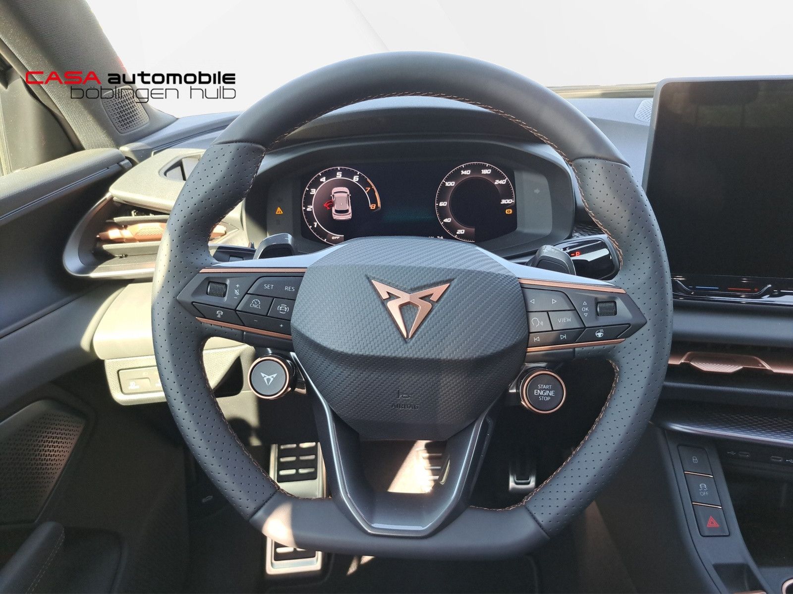 Terramar VZ 2.0 TSI 4Drive DSG HD-Matrix ACC DCC