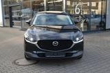 Mazda CX-30 Selection DESIGN-P LEDER-S KeyLess NAV aWR - Mazda CX-30 in Essen