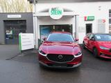 Mazda CX-30 SELECTION,Navi,Matrix,Sound-System,Head-up - Mazda CX-30 mit Hybrid-Antrieb: Selection