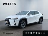 Lexus UX 300e *Luxury*Komfort-Plus*Executive Paket* - Lexus Elektroautos