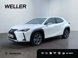 Lexus UX 300e *Matrix*HUD*360°*Leder*M Levinson*SHZ 4x