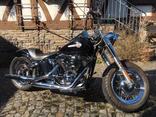 Harley-Davidson Softail Custom Umbau