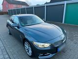 BMW 435d xDrive Modern Line (03/2015) Gran... - BMW 4er Reihe: Modern Line