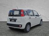 Fiat Panda Pandina POP Hybrid #KLIMA #PARKSENSOREN - Fiat Panda POP mit Hybrid-Antrieb (Benzin/Elektro)
