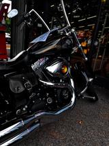 Harley-Davidson FXDWG 103 Dyna Wide Glide  - HARLEY-DAVIDSON DYNA WIDE GLIDE