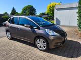 Honda Jazz 1.4 Comfort Plus  - Honda Jazz in Wuppertal