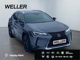 Lexus UX 250h Launch Edition *Bi-LED*HUD*CAM*SHZ*Navi* - Lexus UX in Leipzig