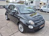 Fiat 500 Basis - Fiat 500 aus 2023