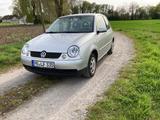 Volkswagen Lupo 1.0 College - Volkswagen Lupo College mit Benzin-Antrieb