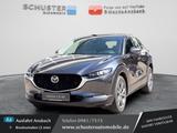 Mazda CX-30 Exclusive-Line Skyactiv-X Matrix-LED/Navi/ - gebrauchte SUV & Geländewagen