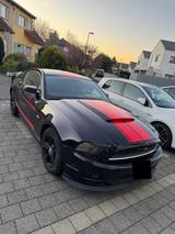 Ford Musang 3,7 V6 ROUSH, BEMA Performance  - Ford Mustang: Roush