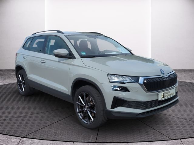 Fahrzeugabbildung SKODA Karoq 2.0 TDI DSG 4x4 Style NAV ACC WINTER PLUS