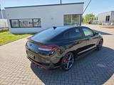 Hyundai i30 Fastback N Performance NAVI,KAMERA,1.HAND - Hyundai i30 aus 2024