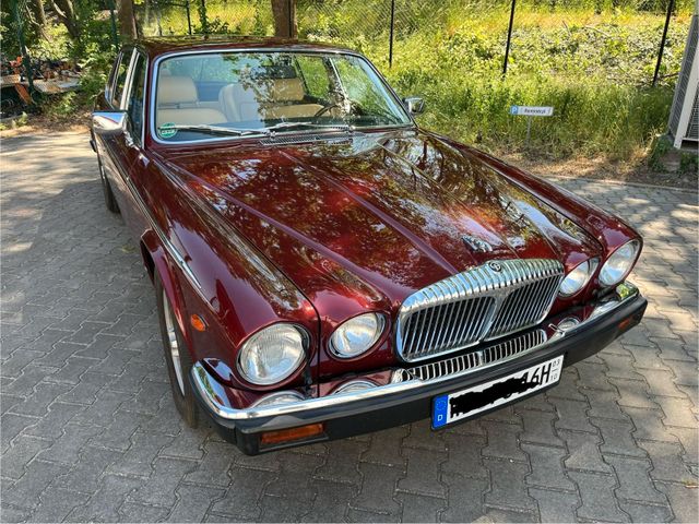 Jaguar Daimler Double Six Serie 3 V12 neuwertig