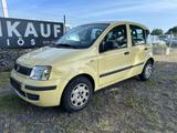 Fiat Panda 1.2 8V Classic, TÜV Neu - Fiat Panda aus 2012