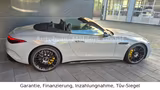 Mercedes-Benz SL 43 AMG *Garantie*Carbon-Paket* - graue Mercedes-Benz SL 43 AMG