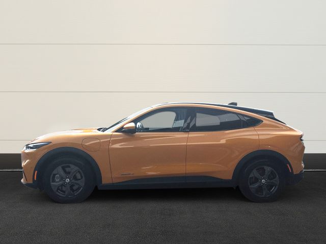 Ford Mustang MACH-E Mach-E Basis