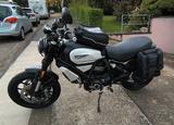 Ducati Scrambler 1100 pro - DUCATI SCRAMBLER 1100 PRO