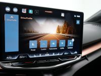 Cupra Tavascan - Vorschau Bild 13