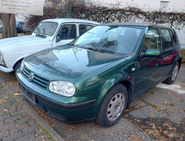 Volkswagen Golf  IV   1.4     5 Tuerer Klima  gepflegt