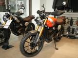Triumph Scrambler 400X sofort verfügbar - TRIUMPH SCRAMBLER 400 X