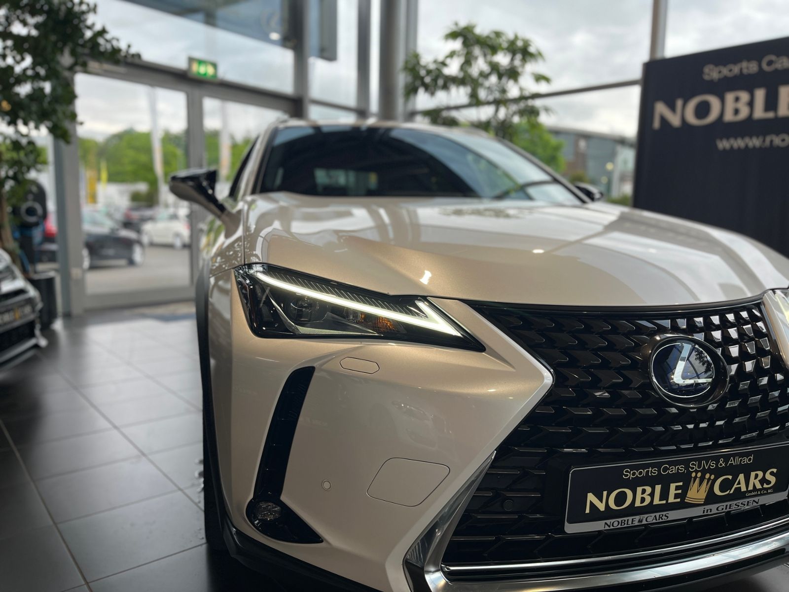 Fahrzeugabbildung Lexus UX 250 h Style AHK LED SHZ CARPLAY RFK