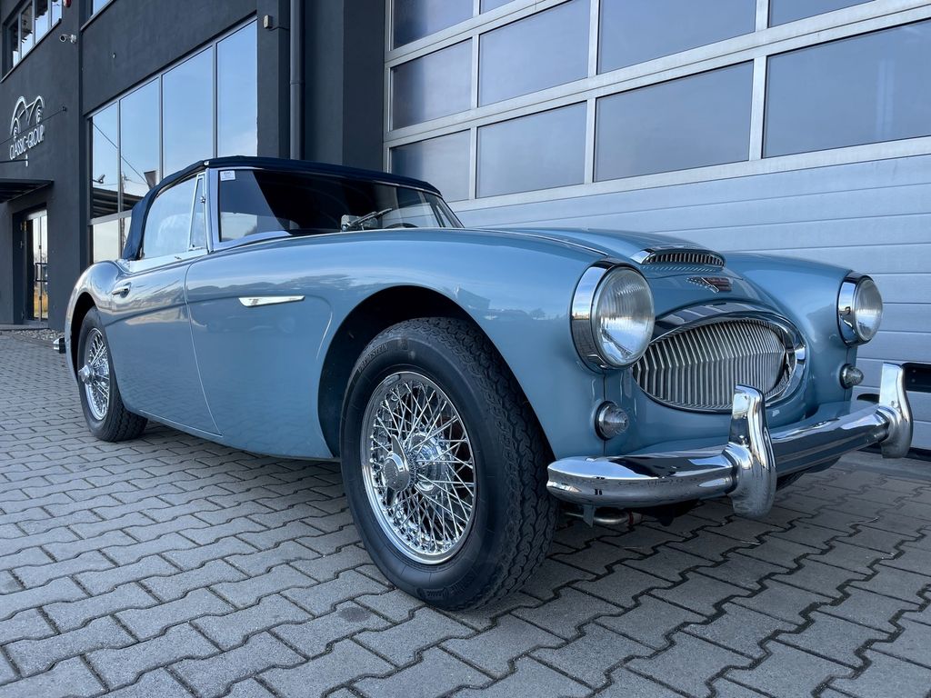 Austin Healey Andere