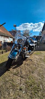 Suzuki VL 1500 LC - SUZUKI 2000