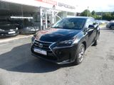 Lexus NX 300h 300h E-Four Automatik Pano - Lexus mit Hybrid-Antrieb: Allradantrieb