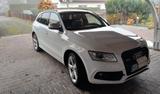 Audi SQ5 3.0 TDI plus tiptronic quattro - - weiße Audi SQ5
