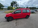 Volkswagen Caddy Life Gewinner Caddy KLIMA - Volkswagen Caddy: Gewinner