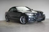 BMW 220 d Cabrio M Sport Navi/Leder/Temp/H&K/ - BMW 220 in Braunschweig
