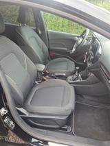 Ford Fiesta 1,0 EcoBoost 74kW Titanium 5Trg. - Ford Fiesta von privat
