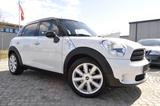 MINI Countryman Cooper /NAVI/Bi-XENON/PANO/TEMPOMAT - MINI MINI aus 2011: Countryman