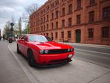 Dodge Challenger - gebrauchte Dodge Challenger aus dem Jahr 2014
