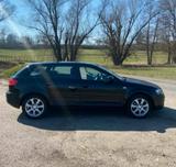 Audi A3 8P Sportpack 1,6L Zahnriemen Kuppl... - Audi A3: Zahnriemen