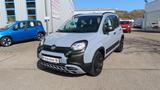 Fiat Panda Cross 1,0 MHYB 70 PS + Beheizte WSS+Sitzhe - Fiat Panda: 1.0