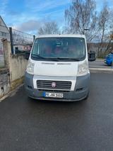 Fiat Ducato - Fiat Ducato in Essen