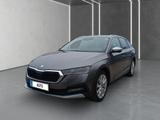 Skoda Octavia Combi 2.0 TDI DSG 4x4 Scout - Skoda Octavia: Allradantrieb, Scout