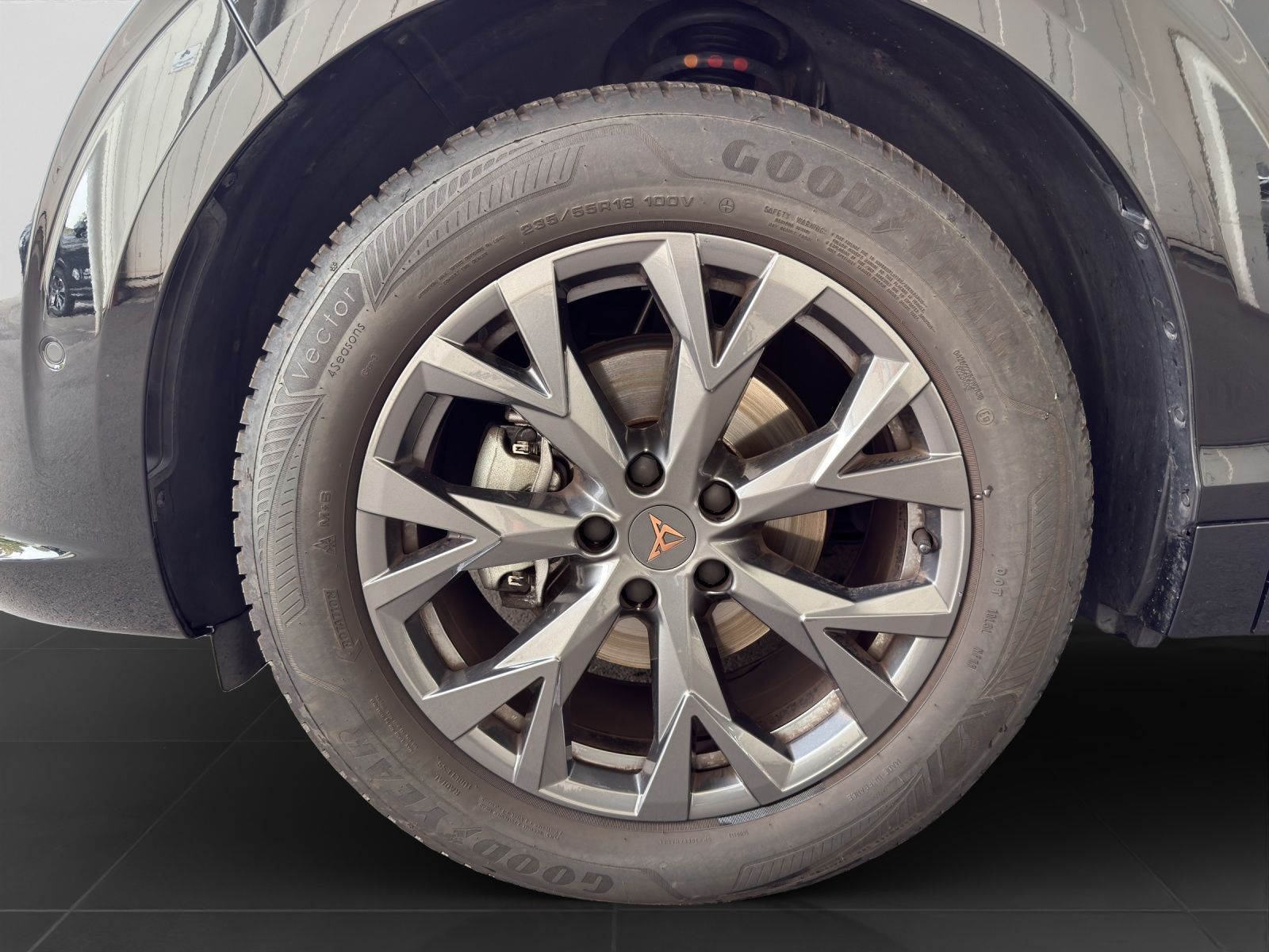 Cupra Terramar - Bild 7