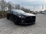 Ford Mustang 5.0 Ti-VCT V8 GT GT - Ford Mustang in Nürnberg